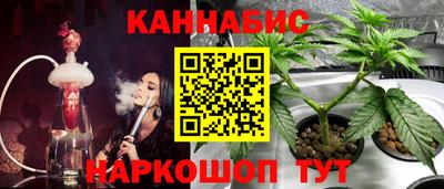 индика Гусиноозёрск