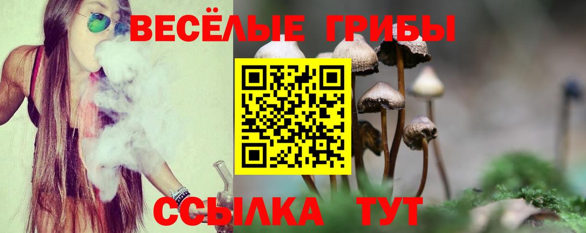 Псилоцибиновые грибы GOLDEN TEACHER Набережные Челны