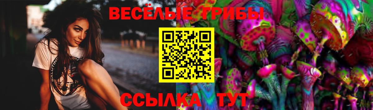 Галлюциногенные грибы Psilocybe  Галлюциногенные грибы прущие грибы  Вход с VPN  Набережные Челны 